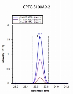 Click to enlarge image iMRM data obtained using antibody CPTC-S1009A-2 to immuno-precipitate peptide DLQNFLK (CPTC-S100A9 Peptide 2)

Data provided by the Carr Lab, Broad Institute
https://www.broadinstitute.org/proteomics/protocols