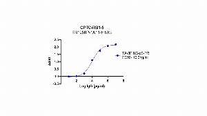 Click to enlarge image Indirect ELISA using CPTC-RB1-5 as primary antibody against BSA conjugated phosphorylated peptide, "TAVIPING-pS-PR", coated on the plate and detected using HRP conjugated goat anti-rabbit secondary antibody and TMB.