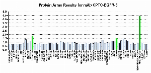 Click to enlarge image Protein Array in which CPTC-EGFR-5 is screened against the NCI60 cell line panel for expression. Data is normalized to a mean signal of 1.0 and standard deviation of 0.5. Color conveys over-expression level (green), basal level (blue), under-expression level (red).