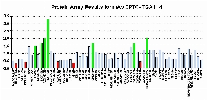 Click to enlarge image Protein Array in which CPTC-ITGA11-1 is screened against the NCI60 cell line panel for expression. Data is normalized to a mean signal of 1.0 and standard deviation of 0.5. Color conveys over-expression level (green), basal level (blue), under-expression level (red).