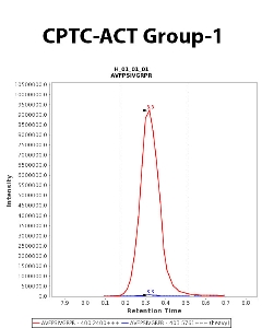 Click to enlarge image "Immuno-MRM chromatogram of CPTC-ACT Group-1 antibody (see CPTAC assay portal for details: https://assays.cancer.gov/CPTAC-5857)
Data provided by the Paulovich Lab, Fred Hutch (https://research.fredhutch.org/paulovich/en.html)"