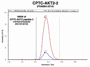 Click to enlarge image Immuno-MRM chromatogram of CPTC-AKT2-1 antibody with CPTC-AKT2 peptide 3 (NCI ID#00152) as target