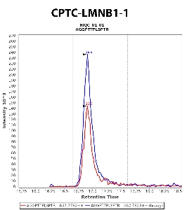 Click to enlarge image Immuno-MRM chromatogram of  CPTC-LMNB1-1 antibody (see CPTAC assay portal for details: https://assays.cancer.gov/CPTAC-5902)
Data provided by the Paulovich Lab, Fred Hutch (https://research.fredhutch.org/paulovich/en.html). Data shown were obtained from cell lysate for teh double phosphorylated peptide AGGPTpTPLpSPTR.