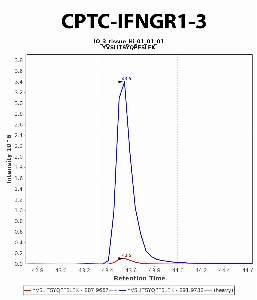 Click to enlarge image Immuno-MRM chromatogram of CPTC-IFNGR1-3 antibody (see CPTAC assay portal for details: https://assays.cancer.gov/CPTAC-6243)
Data provided by the Paulovich Lab, Fred Hutch (https://research.fredhutch.org/paulovich/en.html). Data shown were obtained from frozen tissue