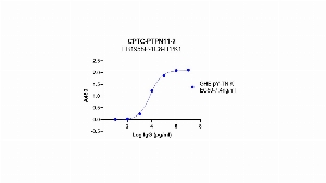 Click to enlarge image Indirect ELISA using CPTC-PTPN11-2 as primary antibody against BSA conjugated phosphorylated peptide, "GHE-pY-TNIK", coated on the plate and detected using HRP conjugated goat anti-rabbit secondary antibody and TMB.