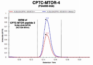 Click to enlarge image mmuno-MRM chromatogram of CPTC-MTOR-4 antibody with CPTC-MTOR peptide 2 (NCI ID#00161) as target