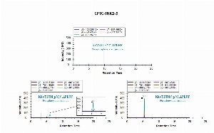 Click to enlarge image Immuno-MRM screenign of antibody CPTC-TNK2-5 against phosphorylated synthetic peptide KKVSSTH(pY)YLLPERP (Tyrosine Kinase Non Receptor 2 Peptide 1),  phosphorylated synthetic peptide KKVSSTHY(pY)LLPERP (Tyrosine Kinase Non Receptor 2 Peptide 2),and their correspondent non-phosphorylated peptide (KKVSSTHYYLLPERP). The antibody was able to pull down only the phosphorylated synthetic peptides KKVSSTH(pY)YLLPERP (Tyrosine Kinase Non Receptor 2 Peptide 1) and KKVSSTHY(pY)LLPERP (Tyrosine Kinase Non Receptor 2 Peptide 2).