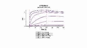 Click to enlarge image The affinity and binding kinetics of CPTC-RB1-6 antibody and BSA-conjugated phosphorylated peptide “ISEGLP-pT-PTK" were measured using biolayer interferometry. BSA-conjugated peptide was covalently immobilized onto AR2G biosensors using standard amine coupling.   CPTC-RB1-6 antibody, 1024 nM, 256 nM, 64 nM, 16 nM, 4 nM, 1 nM and 0.25 nM, was used as analyte. Buffer only and biosensors immobilized without BSA-conjugated peptide were used as references for background subtraction. All data was analyzed globally using a 1:2 bivalent model.